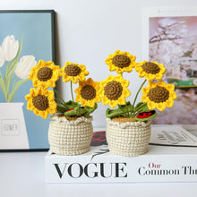 Load image into Gallery viewer, Handmade Crochet Mini Sunflower in Pot