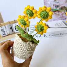 Load image into Gallery viewer, Handmade Crochet Mini Sunflower in Pot