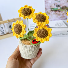 Load image into Gallery viewer, Handmade Crochet Mini Sunflower in Pot