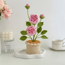 Load image into Gallery viewer, Handmade Crochet Rose in Pot