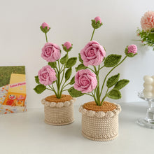 Load image into Gallery viewer, Handmade Crochet Rose in Pot