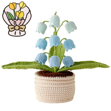 Load image into Gallery viewer, Handmade Crochet Lily of the Valley in Pot
