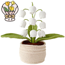 Load image into Gallery viewer, Handmade Crochet Lily of the Valley in Pot
