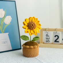 Load image into Gallery viewer, Kiyarnmi Handmade Crochet Classic Sunflower in Pot
