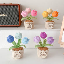 Load image into Gallery viewer, Handmade Crochet Tulip in Pot
