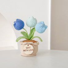 Load image into Gallery viewer, Handmade Crochet Tulip in Pot
