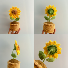 Load image into Gallery viewer, Kiyarnmi Handmade Crochet Classic Sunflower in Pot
