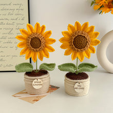 Load image into Gallery viewer, Handmade Crochet Ultra Sunflower in Pot
